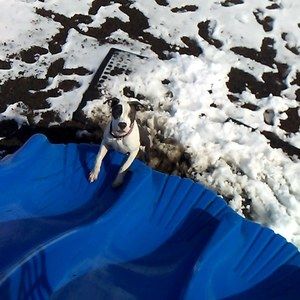 Meet your Posher, William